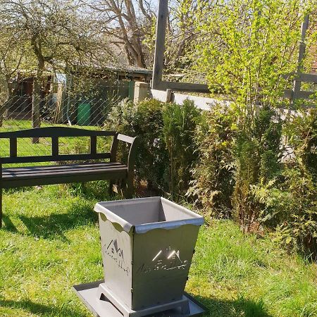 KratzeburgWaldstuebchen别墅 外观 照片